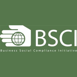 深圳九域企業(yè)管理 一站式EICC驗(yàn)廠咨詢輔導(dǎo)，助力企業(yè)合規(guī)與卓越